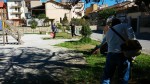 movimento cinque stelle pulisce il villaggio