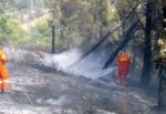 20080531_FOTO_Protezione_civile_contro_gli_incendi_d0