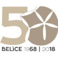 Logo 50esimo anniversario teremoto