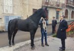 musumeci con il cavallo sanfratellano