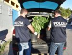 squadra-mobile-enna-marijuana-1