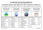 Elezione diretta del Sindaco e del Sindaco Comunale (2)_page-0001