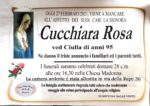 cucchiara rosa 95