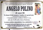 angelo polino 88