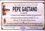 pepe gaetano 80