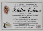 pilotta catena