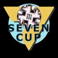 seven up privilege