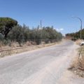 FOTO N° Strada verso il santuario Madonna della Cava