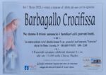 barbagallo crocifissa