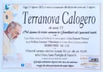 terranova calogero 77