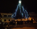 Albero di Giulia I 408145541_1049604962901633_8184489678825660045_n