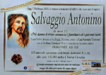 salvaggio antonino 71