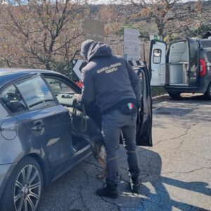 GDF CATANIA. Controlli sull’Etna: lavoro nero, stupefacenti e codice della strada.